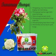 nutrisi ab mix goodplant 05l (tanaman bunga)