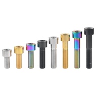 Wanyifa Titanium Bolt M10 Pitch 1.25/1.5 16D DIN912 Stud Head Hex Screws For Motorcycle Retrofitting