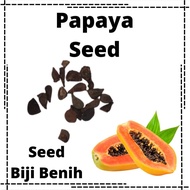 Papaya木瓜种子 Biji Benih Betik Fruit Buah Buahan Seed 20pcs