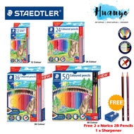 Staedtler Thailand Premium Luna Colour Pencil (Set of 12 / 24 / 36 / 50 Color Long) [Free Sharpener 