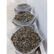 1L Well Draining Cactus and Succulent Soil Potting Mix: Sand, Silica Sand, Cocopeat, Compost, Zeolit