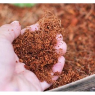 Coir peat for growing plants (10dm3/bag)