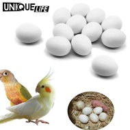 [Yoyoyo1] 12x Solid Plastic Pigeon Eggs Help Laying Agricultural Tool Dove False Eggs