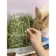 Mountain Village Rice Girl New ‼️‼️U.S Timothy Hay First Cut )1kg Super Green  Timothy First Cut 1kg