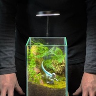 生態缸全光譜植物燈