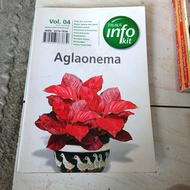 Aglaonema.