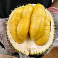 FREE DELIVERY Durian Musang King