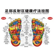Foot Massage Meridian Chart Acupoint Chart Moxibustion Wall Chart Scraping Acupoint Chart Large Quan