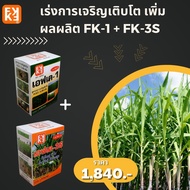 ปุ๋ยน้ำ เร่งการเจริญเติบโต เพิ่มผลผลิต อ้อย ประสิทธิภาพสูง FK-1 เร่งโต FK-3S เพิ่มขนาด เพิ่มน้ำหนัก 