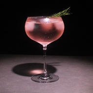 Tall Cocktail Glass Gin & Tonic Classic Round Red Wine