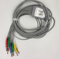 Compatible with Biocare IE 300, Reusable 10 Leads EKG Cable, Body Condition Tester Recorder Connecti