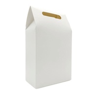 Foldable Paper Shopping Handle Pastel Gift Bag White Large