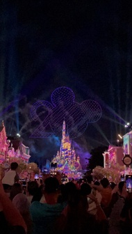 只限香港商品❗️代購香港迪士尼商品（預購）