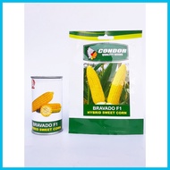 ◆ Condor Bravado F1 Hybrid Sweet Corn Seeds