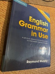 English Grammar In Use