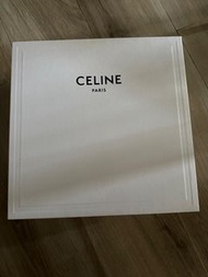 Celine蟒蛇皮高跟鞋