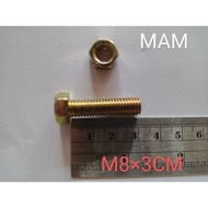 BOLT AND NUT 12 LENGTH 3CM M8 3CM