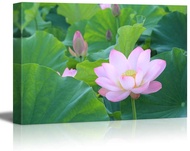 Canvas Prints Wall Art Blooming Lotus Flower Surrounded by Lotus Leaves Modern Wall DecorHome Decora