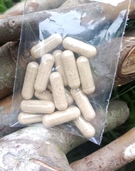 15 kapsul mental ayam obat mental ayam menaikan mental ayam obat ayam belum ada nyali obat ayam