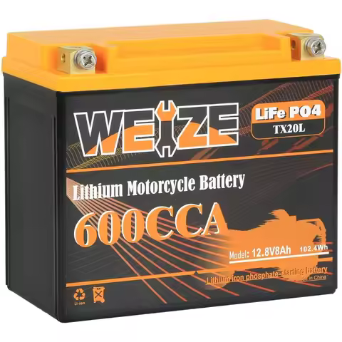 Weize Lithium YTX20L-BS LiFePO4 Battery - 12V 8AH, 600A Peak, Group 20 for ATV, UTV, Jet Ski, Genera