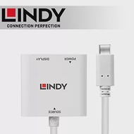 LINDY 林帝 主動式 USB3.1 Type-C to Displayport 轉接器 帶PD功能 (43289)