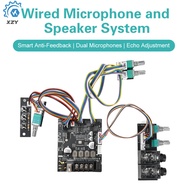 DC12-24V 502T Lead Microphone Audio Integrated Machine Bluetooth Amplifier Board Module TPA3116D2 Du