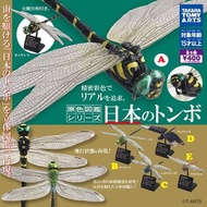〘全套/散賣〙Takara Tomy 原色圖鑑系列 日本蜻蜓 昆蟲 扭蛋 (全5種) 原色図鑑シリーズ 日本のトンボ