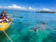 Các hoạt động dưới nước Rùa biển Xiao Liuqiu / Lặn biển / Chèo thuyền kayak / Ván SUP / Lặn biển trả