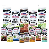 cimory freshmilk best seller