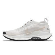 Nike Cross Country Running Shoes Pegasus Trail 5 GTX Men's Gray Black Waterproof [ACS] FQ0908-010