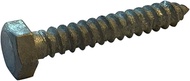5/16X1 Hex Lag Screw Galvanized Gimlet Point (Pack of 10)
