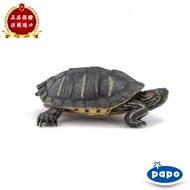 Mô Hình Động Vật Thực Tế Florida Turtle PAPO 2024 Đồ Chơi Trẻ Em Mô Hình Động Vật Mới Đồ Chơi Mô Phỏ