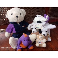 FEDex expedition Teddy doll