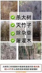 聚優強力竹子除草劑爛根死雜草除根惡性雜草滴酸草甘磷農用 