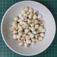 白莲子  FUJIAN LOTUS SEED KACANG TERATAI