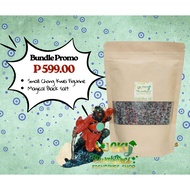 LD - PROTECTION CHARM FOR GHOST MONTH