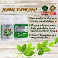 🌿🔥BEST PRODUCT🔥🌿 JERING TUPAI (KM) UNTUK KENCING MANIS/DIABETES SECARA TRADISIONAL