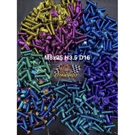 Gr5 8li25 titanium motorcycle screws with thin head for Sirus, Ex135