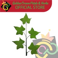 Ivy Leaf Bunch Edible Cake Topper Gumpaste Flowers sugar flowers edible flower