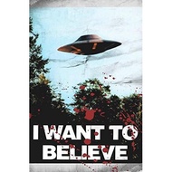 TV Poster X Files I Want To Believe Canvas Printing