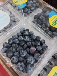Buah blueberry segar fresh import