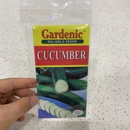 Cucumber Reliable Seeds