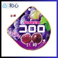 UHA Mikakuto Kororo Kyoho Grape flavor Gummy Fruit Jelly Candy [Direct from Japan]