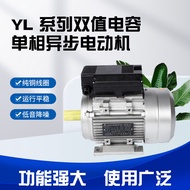 Longran Elektromekanikal Fasa Tunggal Motor Dwi Nilai Tak Segerak B3 Pemasangan Mendatar Cangkang Al