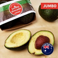 RedMart Australian JUMBO Hass Avocado 2PCS (500G)