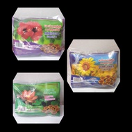 Renga's cup sambrani - 3 packet COMBO