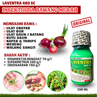 INSEKTISIDA BAWANG AMPUH !! Laventra 480 Sc Pembasmi Ulat Grayak Ulat Bor Ulat Daun Wereng Thrips