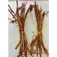 Akar Beluru / Akar Sintok 1ikat