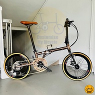 Fnhon Gust 20” • 9 Gear Shimano Litepro Schwalbe Bolany Foldable Folding Foldie Bike Bicycle Dahon Tern Crius Rose Gold