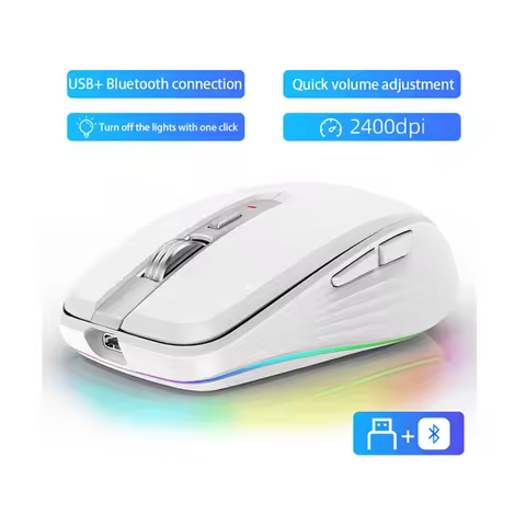 HXSJ M303 2.4G Dual Mode Ergonomic Lightweight RGB Backlit 6-Button 700mAh Wireless USB Mouse for Of